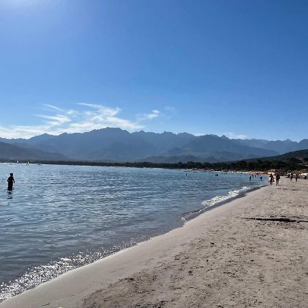 Calvi T2 Climatise, Wifi, Centre-Ville, A Proximite Plage, Commerces, Taxi & Gare, Vue Plage & Montagne Екстер'єр фото